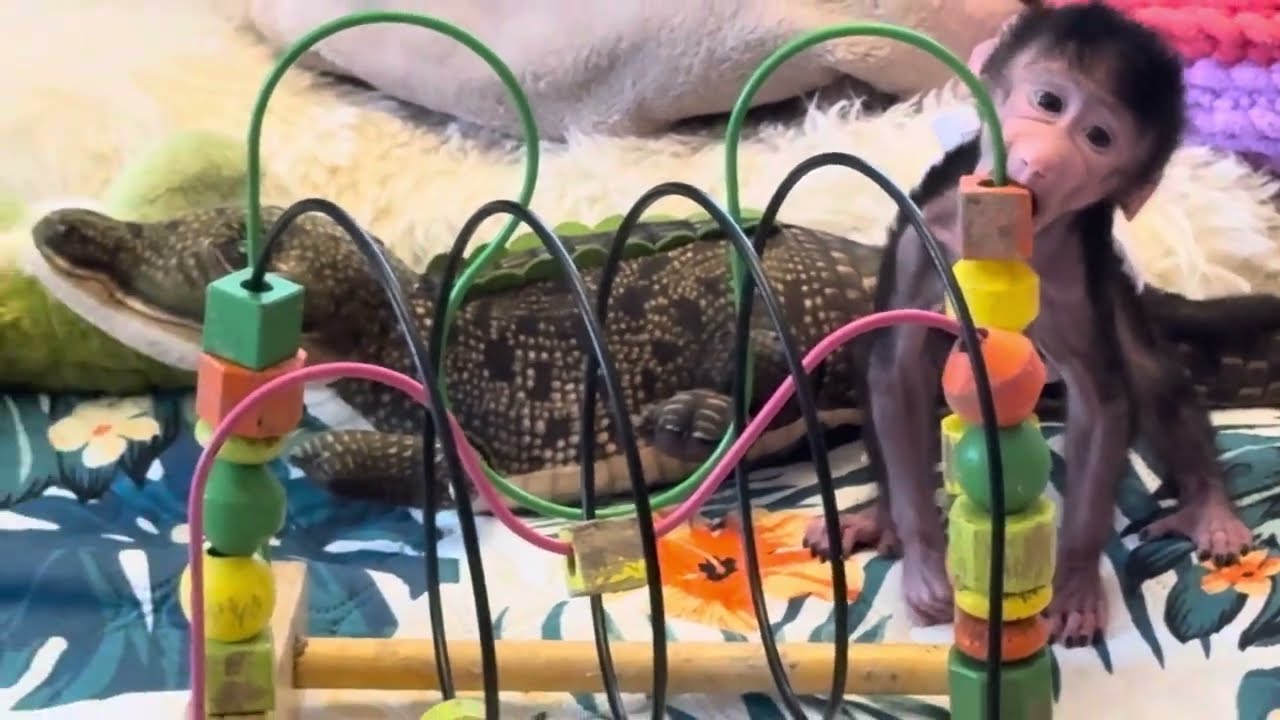 Николь с утра до вечера только и делает что радует успехами маму Таню 😁