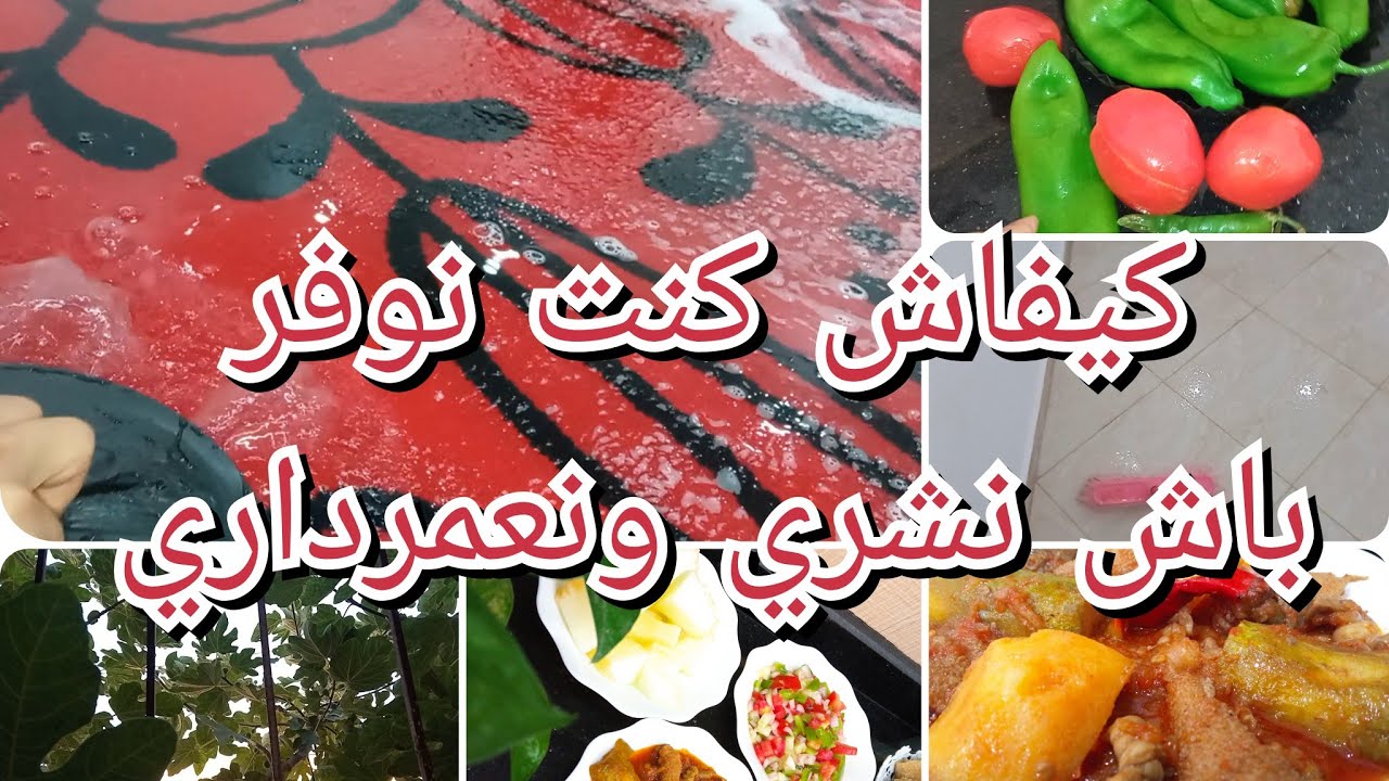 فيديو الرغاوي والطاقة والتحفيز ،كيفاش عمرت داري من الصفر ،صرات كارثة في داري بغيت نخرج منها نص الليل
