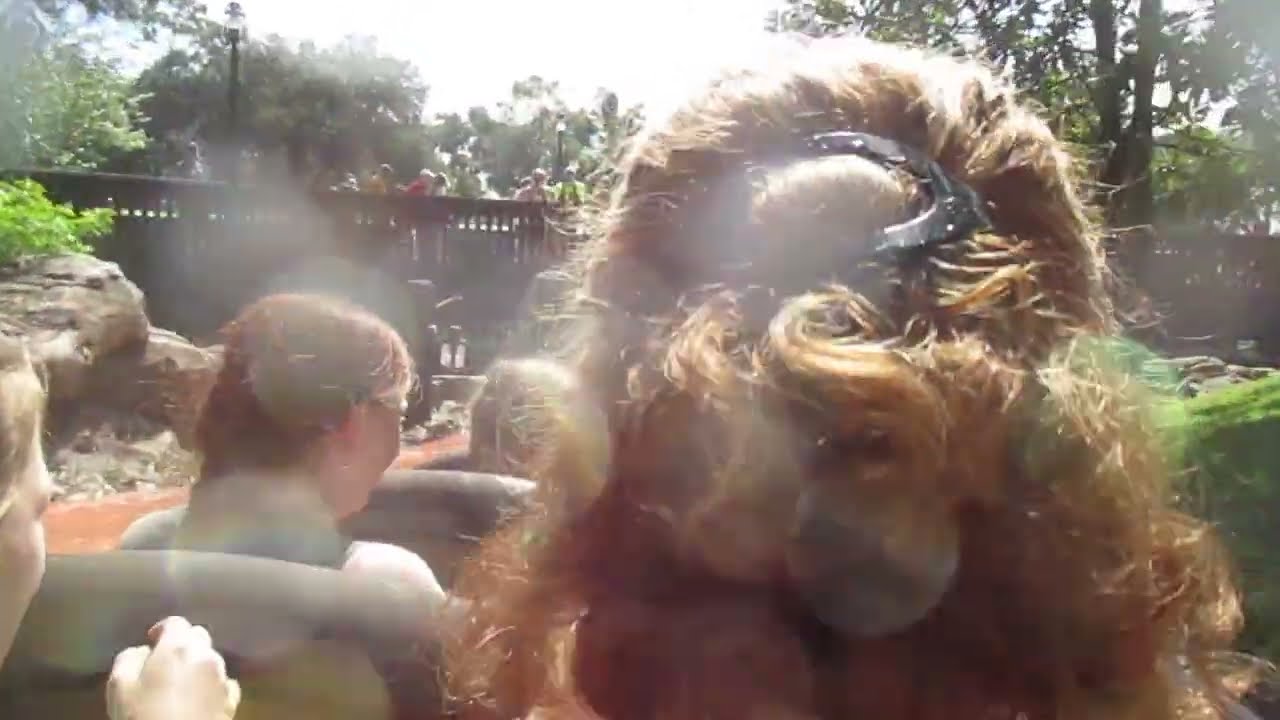 07 12 17 Disneyworld Water Plunge at end of Briar Rabbitt Water Ride