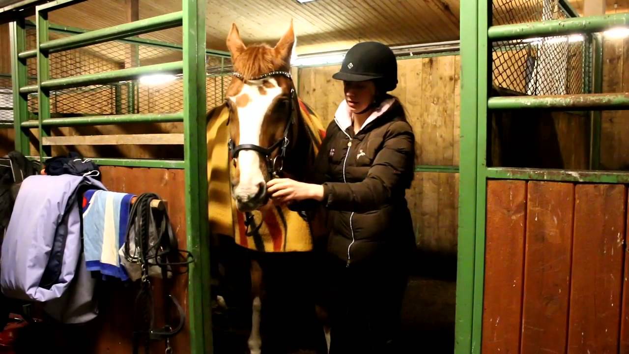 Pitkä tallivideopostaus