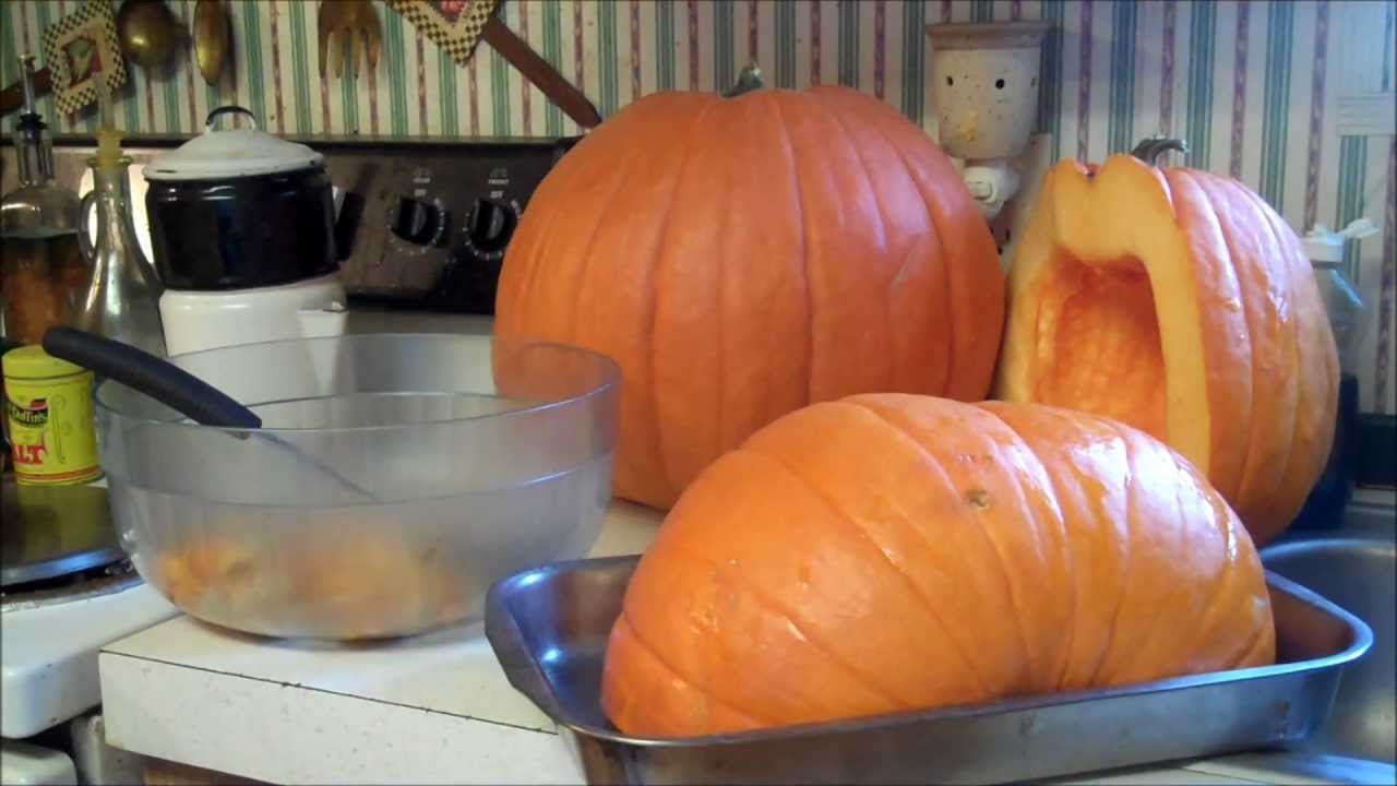 Dehydrated Pumpkin