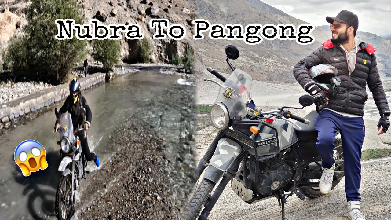 Nubra valley to Pangong 🥺 | Ep-5 | The Umar