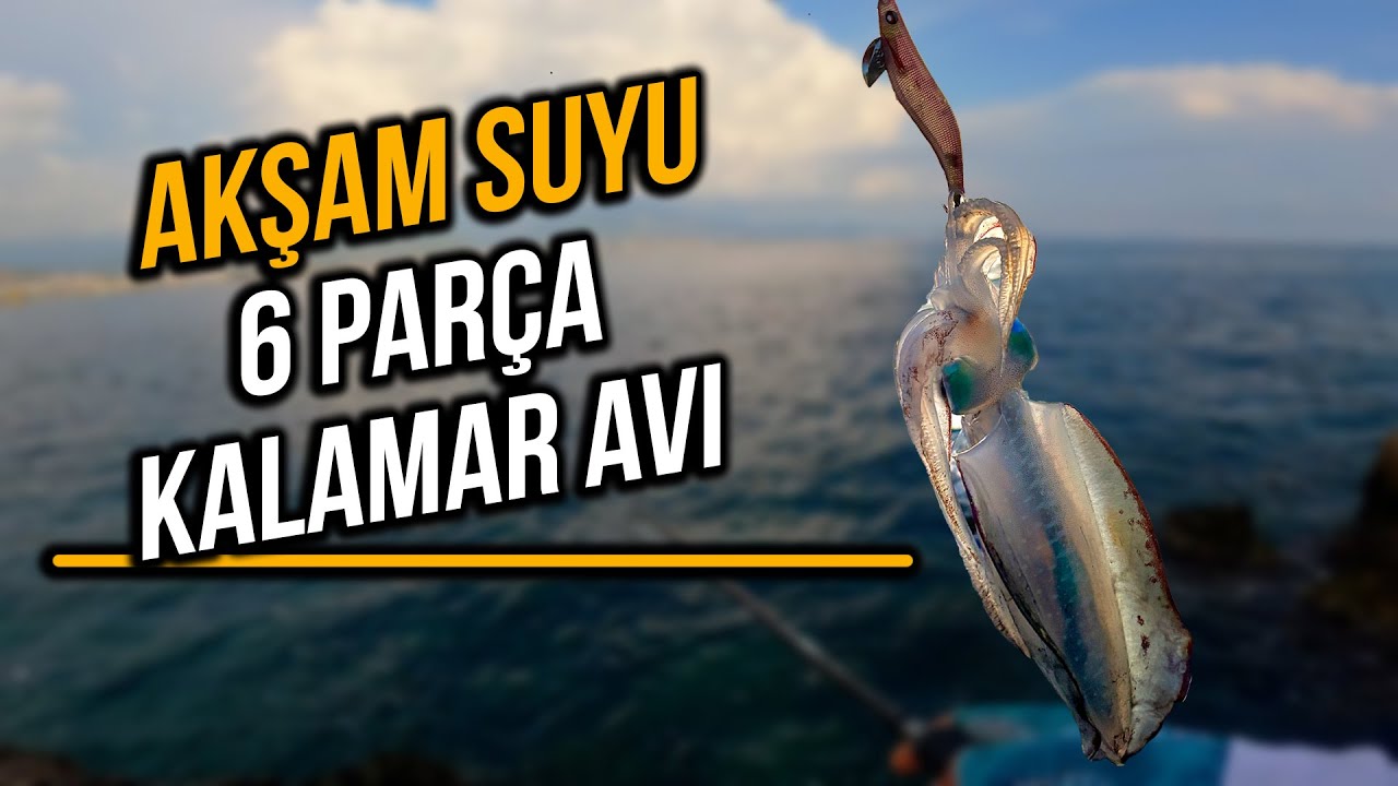 Akşam Suyu Kalamar Avı - Alanya Kale Yamacı | VARSA ALIRIZZZ!!!
