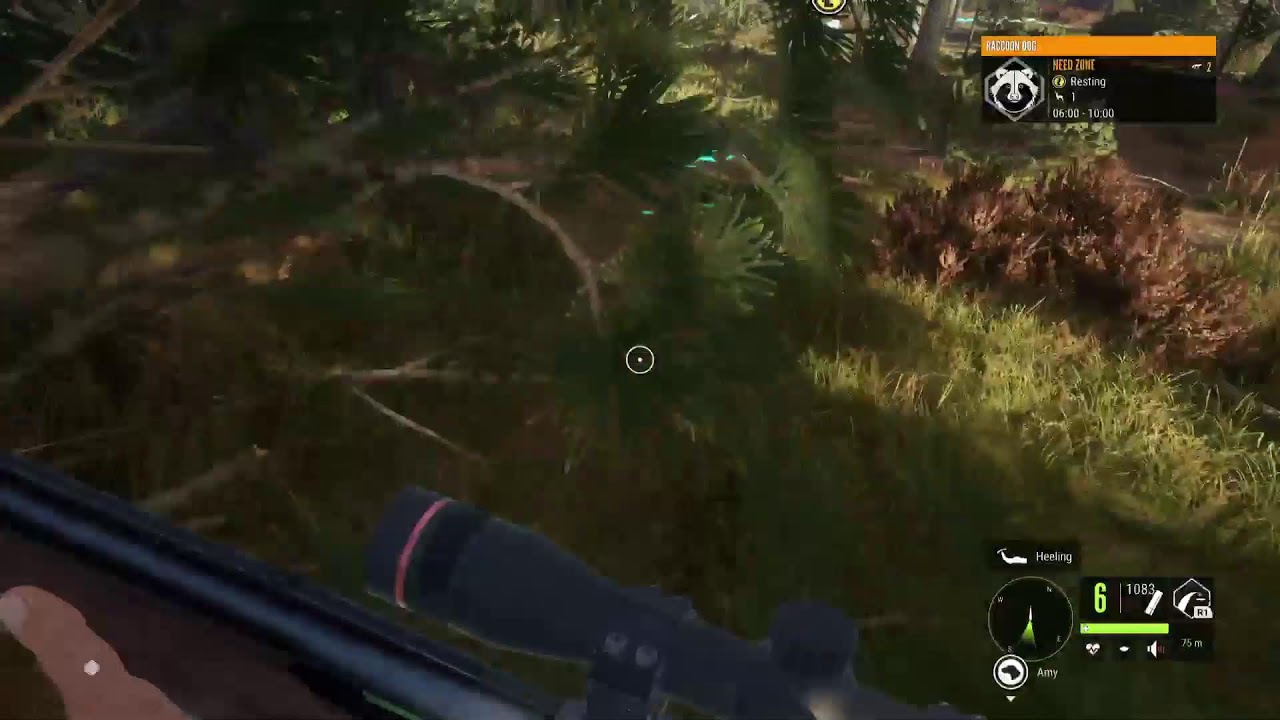 Let's do some Hunting