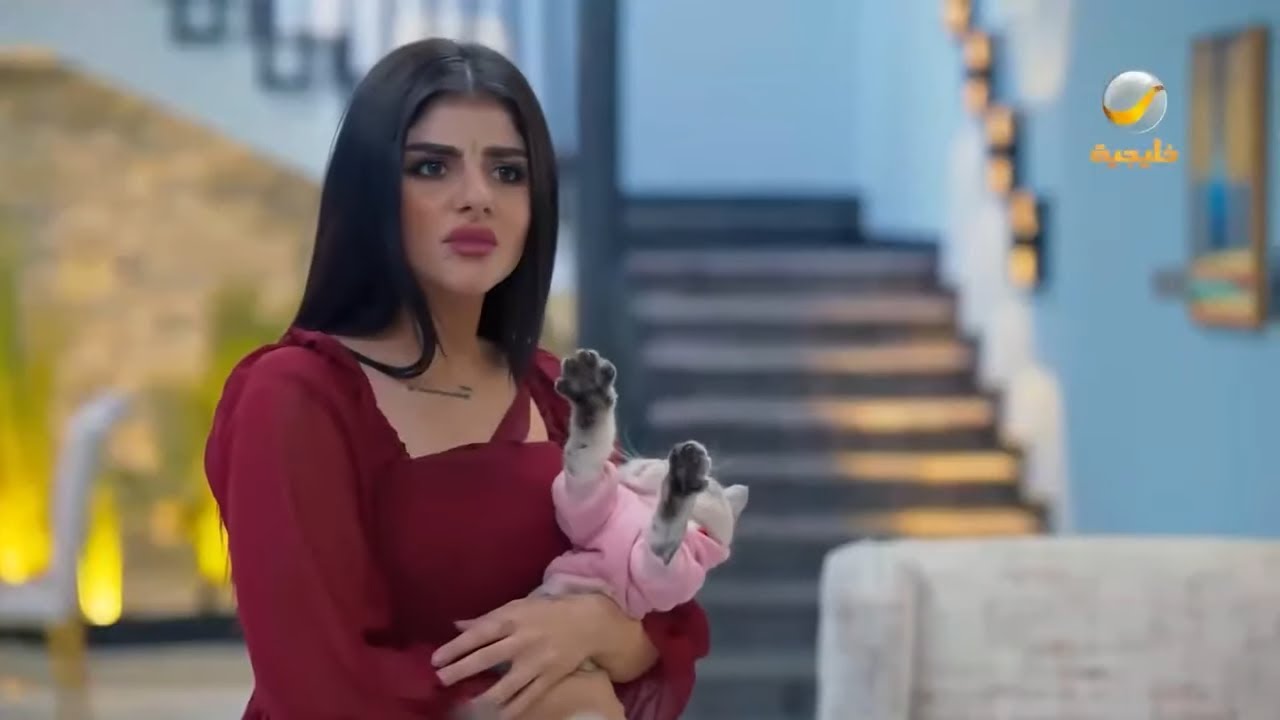 حلقات مجمعة من مسلسل شباب البومب الحلقة 61