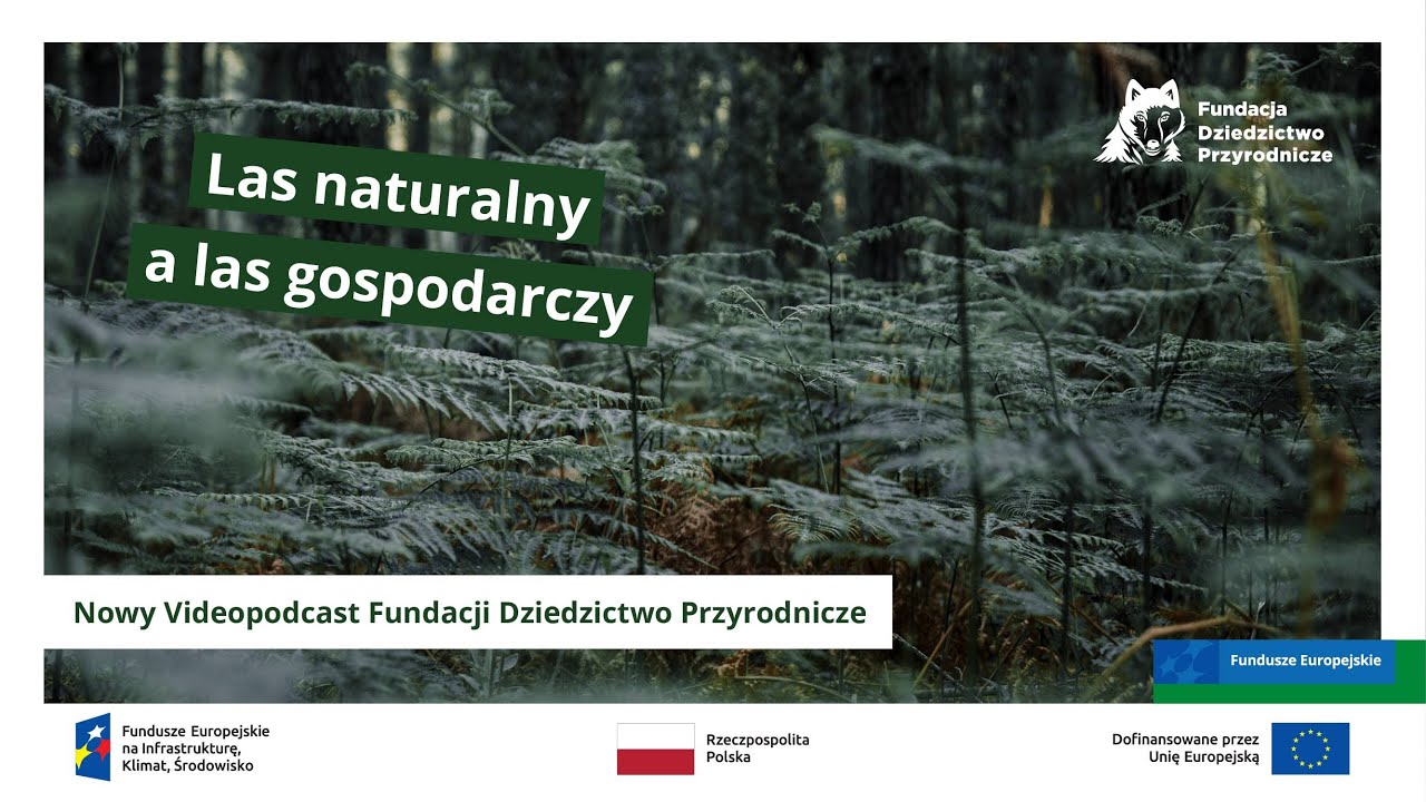 Las naturalny a las gospodarczy