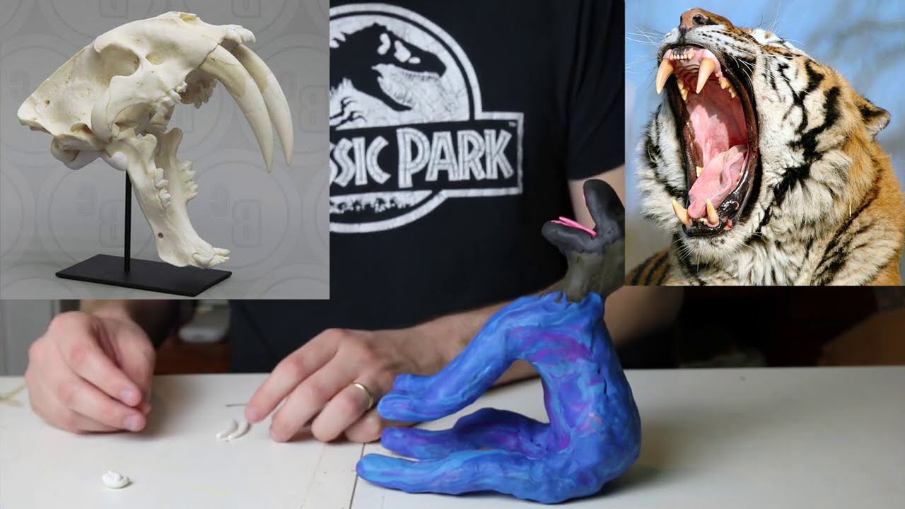 Sabertooth Tiger Claymation Tutorial
