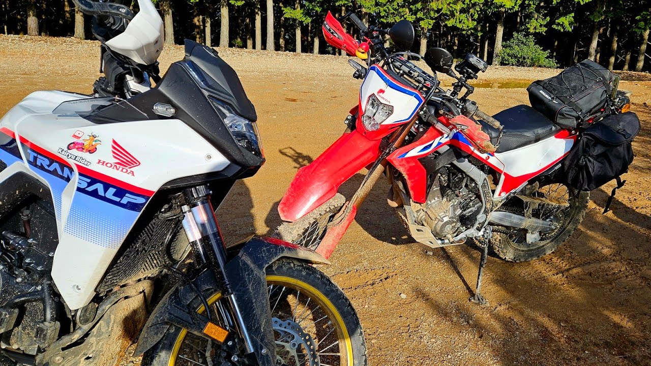 Can a Dualsport Replace my ADV Bike? CRF250L vs XL750 Transalp