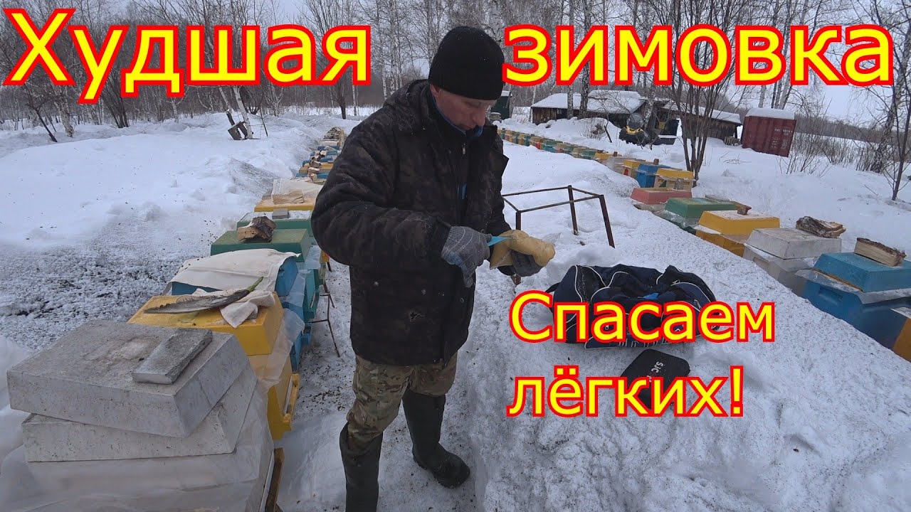 ХУДШАЯ ЗИМОВКА в ШЕСТИРАМОЧНИКАХ! Спасаем ЛЁГКИЕ СЕМЬИ! Карника в Сибири!