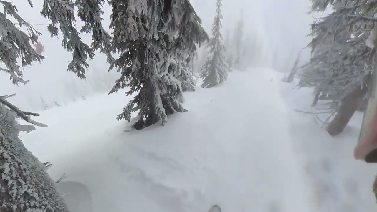 Big White Black Forest under the lift