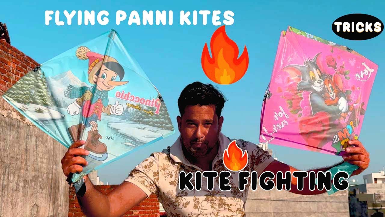 Panni Kite Flying vs Traditional Kites What's the BEST Choice for 2025?