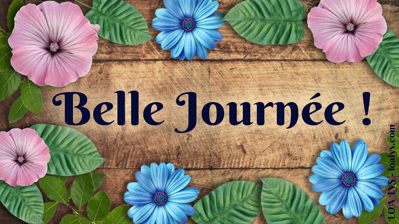 238 - Belle journ&eacute;e - Carte virtuelle positive