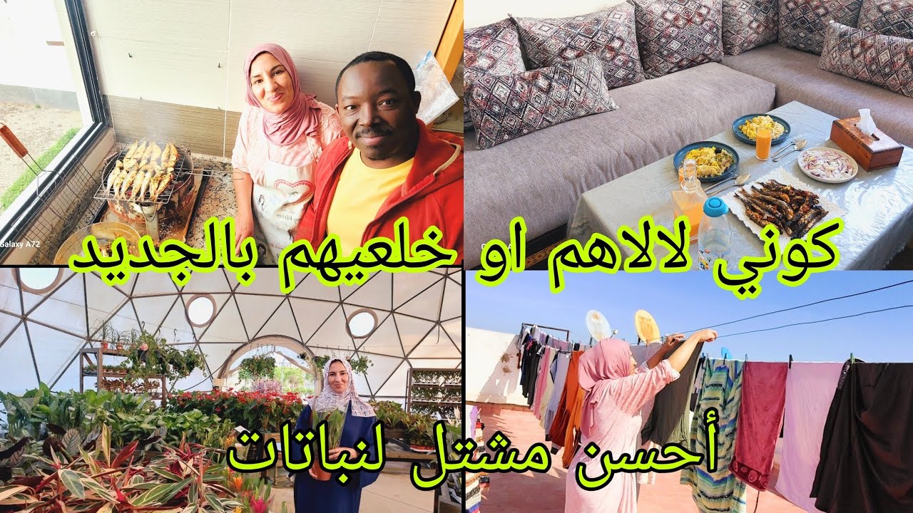هاأنا وراجلي معاونين على شغال الدار❤️ هادي هي اللي تسلكني فآخر الشهر 🍲 والبنة تتقاطر 👌عصير إقتصادي 🌛