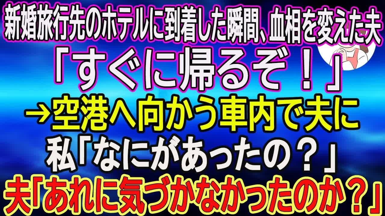 【スカッとする話】新婚旅行先のホテルに到着した瞬間、血相を変えた夫「すぐに帰るぞ！」→空港へ向かう車内で夫に私「なにがあったの？」夫「あれに気づかなかったのか？」　【朗読】