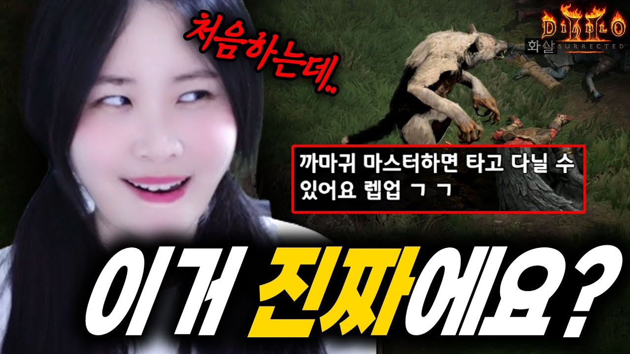 디아2에 이런 기능이 있었다고? 처음 알았음;;