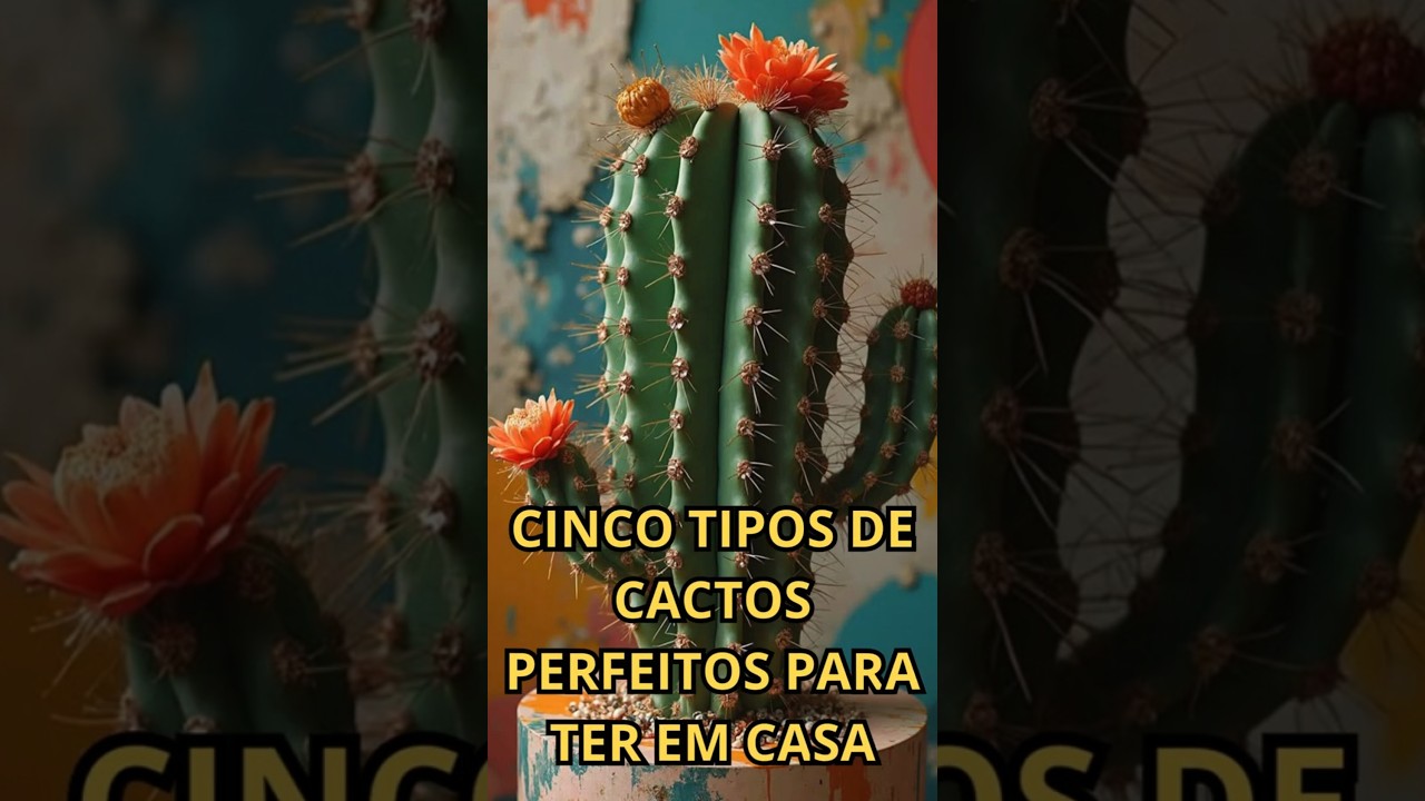 CINCO TIPOS DE CACTOS PERFEITOS PARA TER EM CASA #jardim #plantas