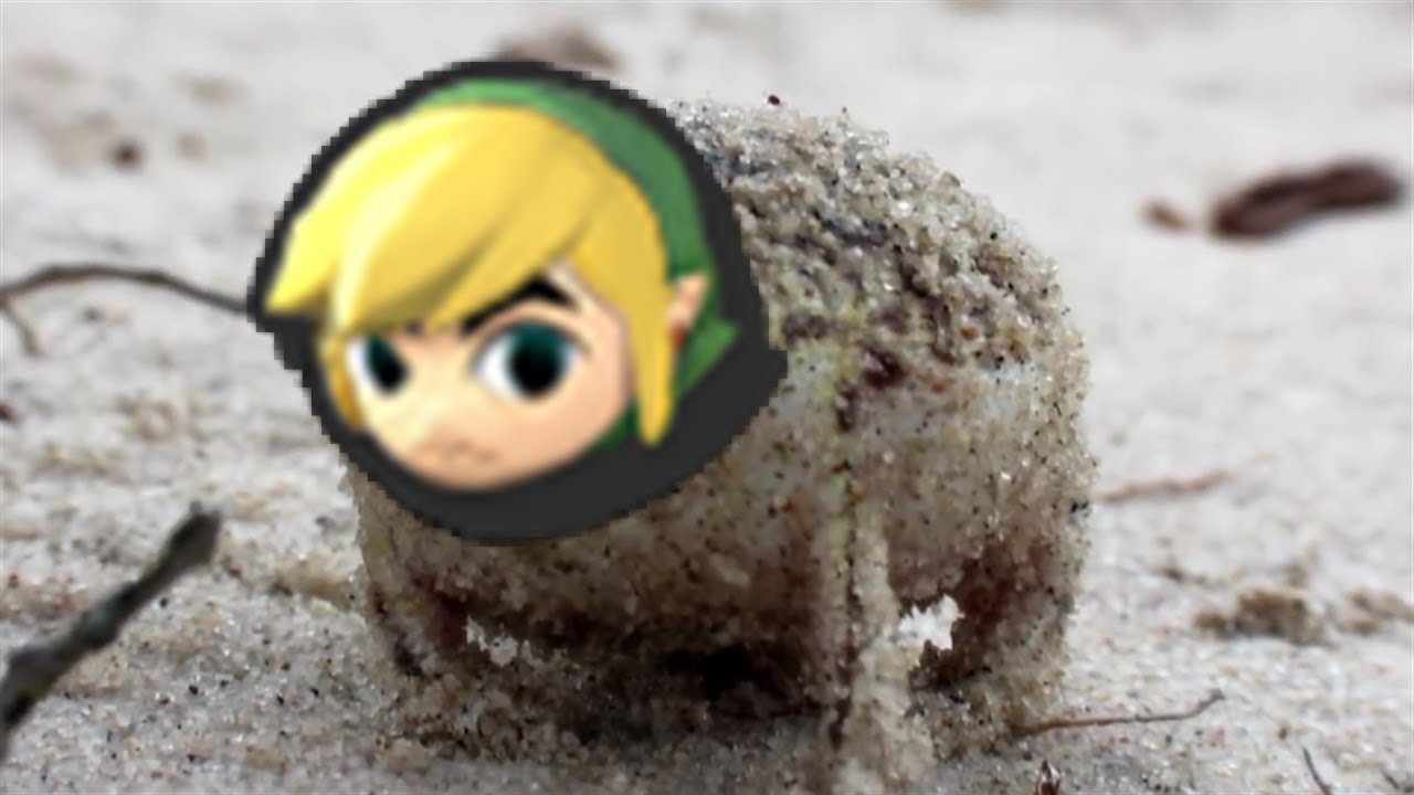 A Very Angry Toon Link.
