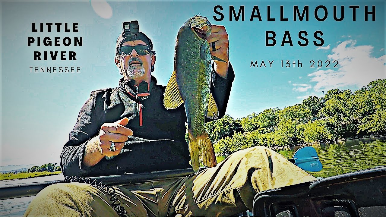 SMALLMOUTH BASS Fishing- Little Pigeon River in Sevierville, TN.