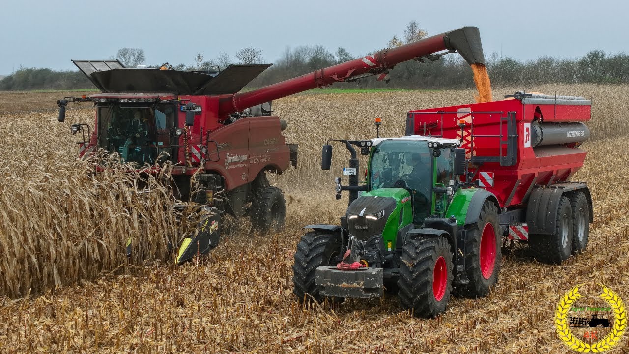 Mais Dreschen | Case IH Axial Flow 8250 AFS | Fendt 728 Vario | Perard Interbenne 30 Überladewagen