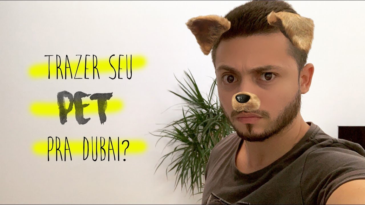 COMO TRAZER SEU PET PRA DUBAI - DUBAI PARA BRASILEIROS #28