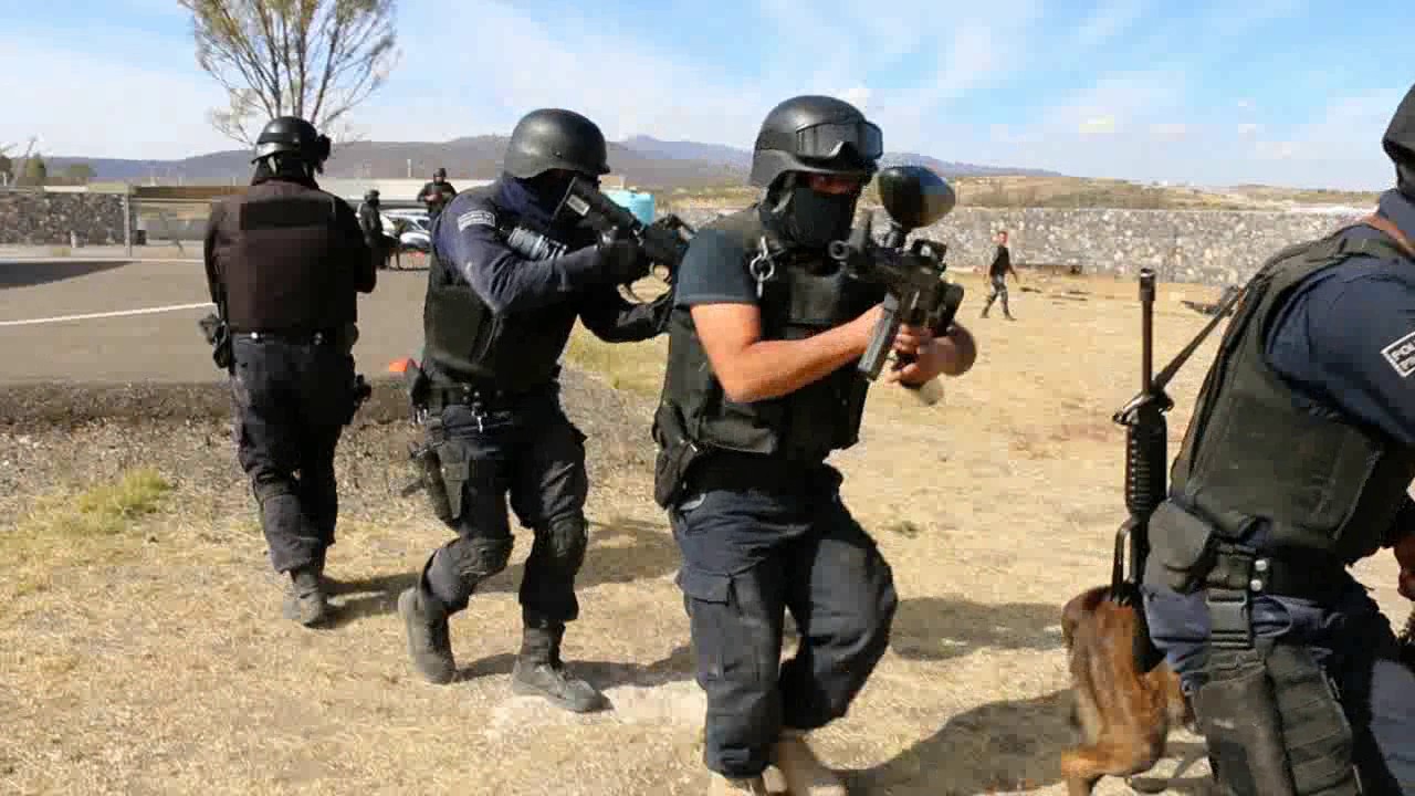 Grupo K-9 se especializa en técnicas para intervenciones de alto riesgo