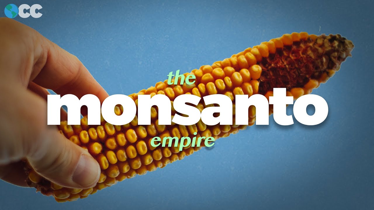 Monsanto: истинная стоимость наших продуктов питания