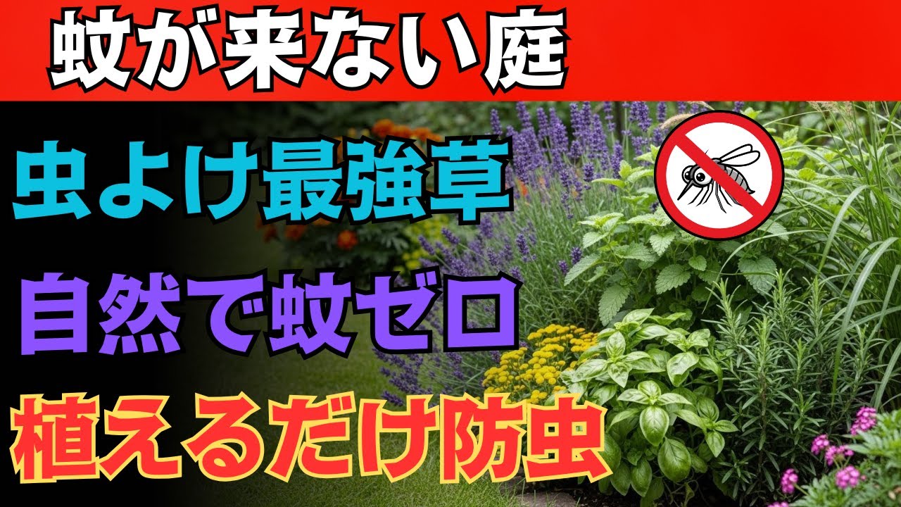 ９９％の人が驚いた！蚊が逃げる庭の植物１０選