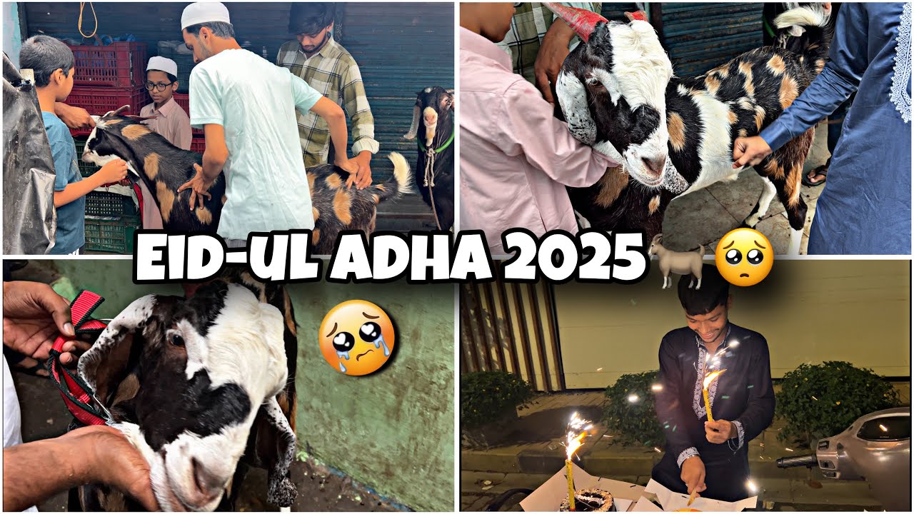 EID-UL ADHA 2025 || BAKRA QURBAAN HO GAYA💔😞 || ZAID ANSARI VLOGS #eiduladha2025 #vlogs #bakraeid