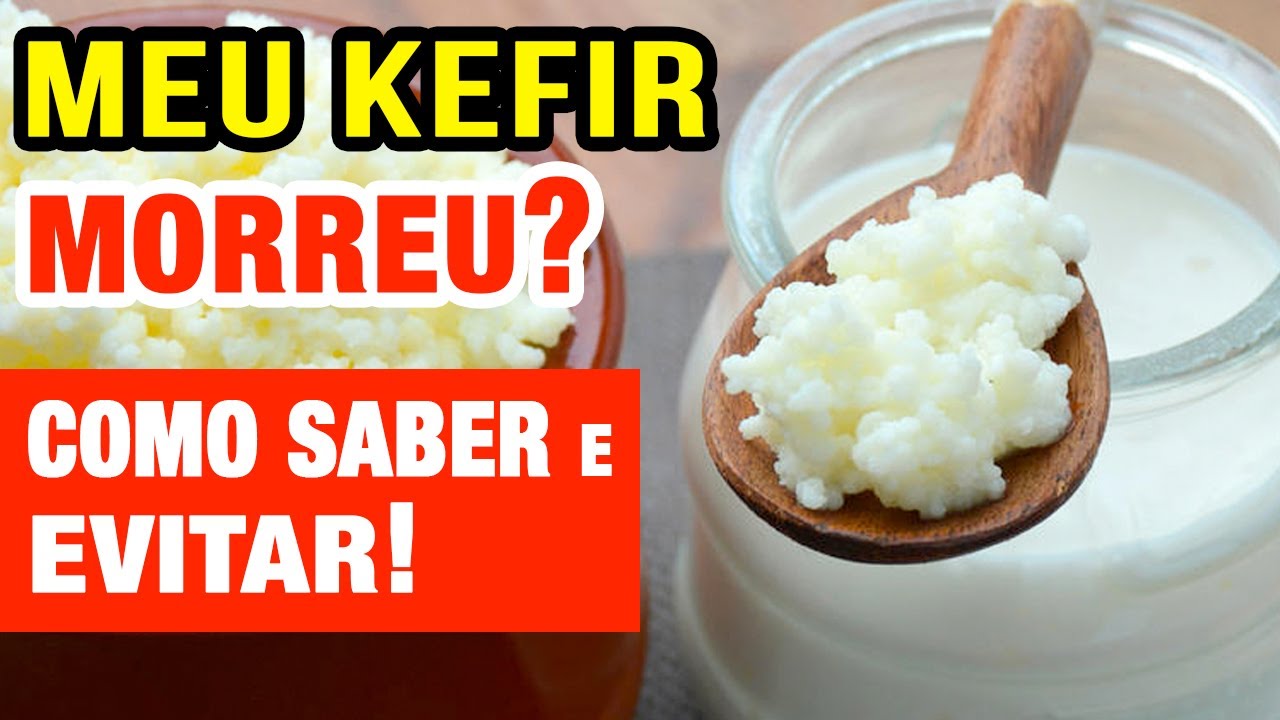 Como saber se o KEFIR MORREU e como EVITAR (inclusive em viagens!)