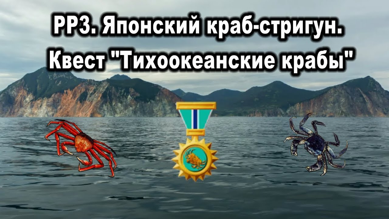 РР3.  Японский краб-стригун. Завершение квеста тихоокеанские крабы. Призы за квест
