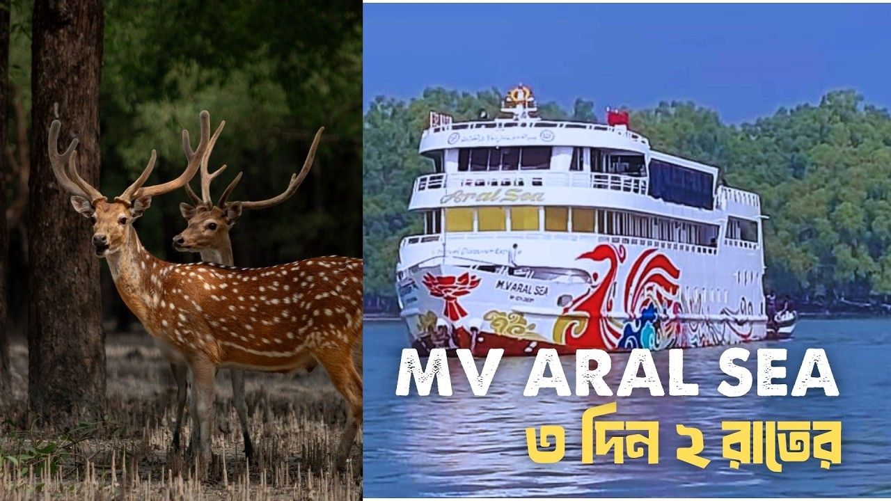 সুন্দরবন ট্যুর প্যাকেজ খরচ ও বিস্তারিত | SUNDARBAN TOUR GUIDE | জাহাজের ভেতরটা কেমন?