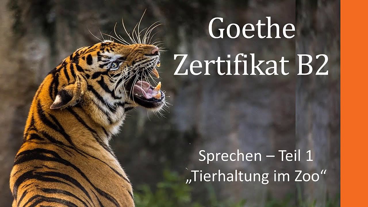 Goethe B2 Sprechen Aufgabe 1 Tiere im Zoo