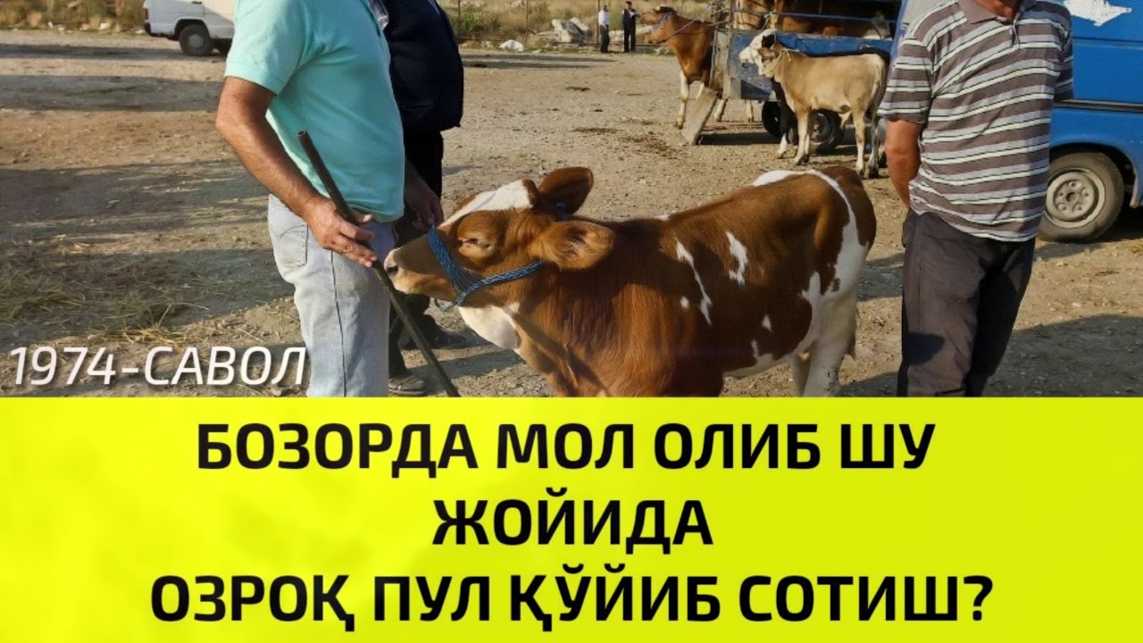 1974-Савол: Бозорда мол oлиб шу жойда oзроқ пул қўйиб сотиш жоизми? Шайх Абдуллоҳ Зуфар Ҳафизаҳуллоҳ