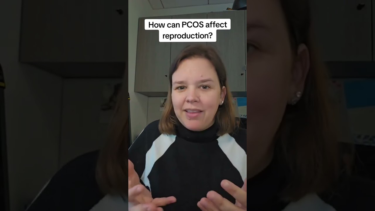 The main way PCOS can impact reproduction is by causing anovulation or oligoovulation (not.ovulating