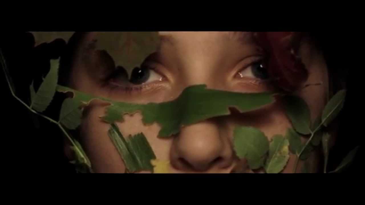 Cinematography Reel 2014