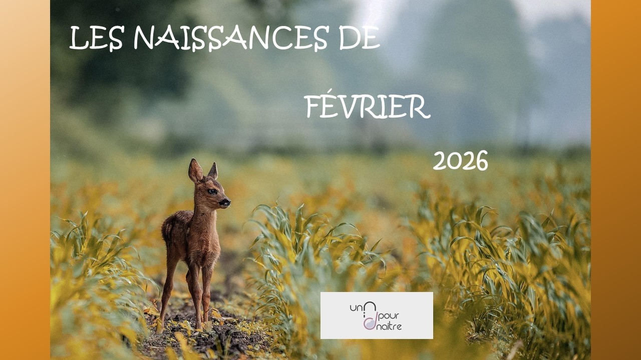 Les naissances de février 2026