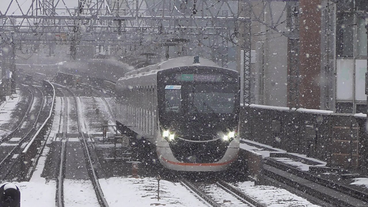 雪の田園都市線・大井町線 収録 5000系 2020系 9000系 6020系 6000系 8000系 08系 50000系 2026 2.7~8