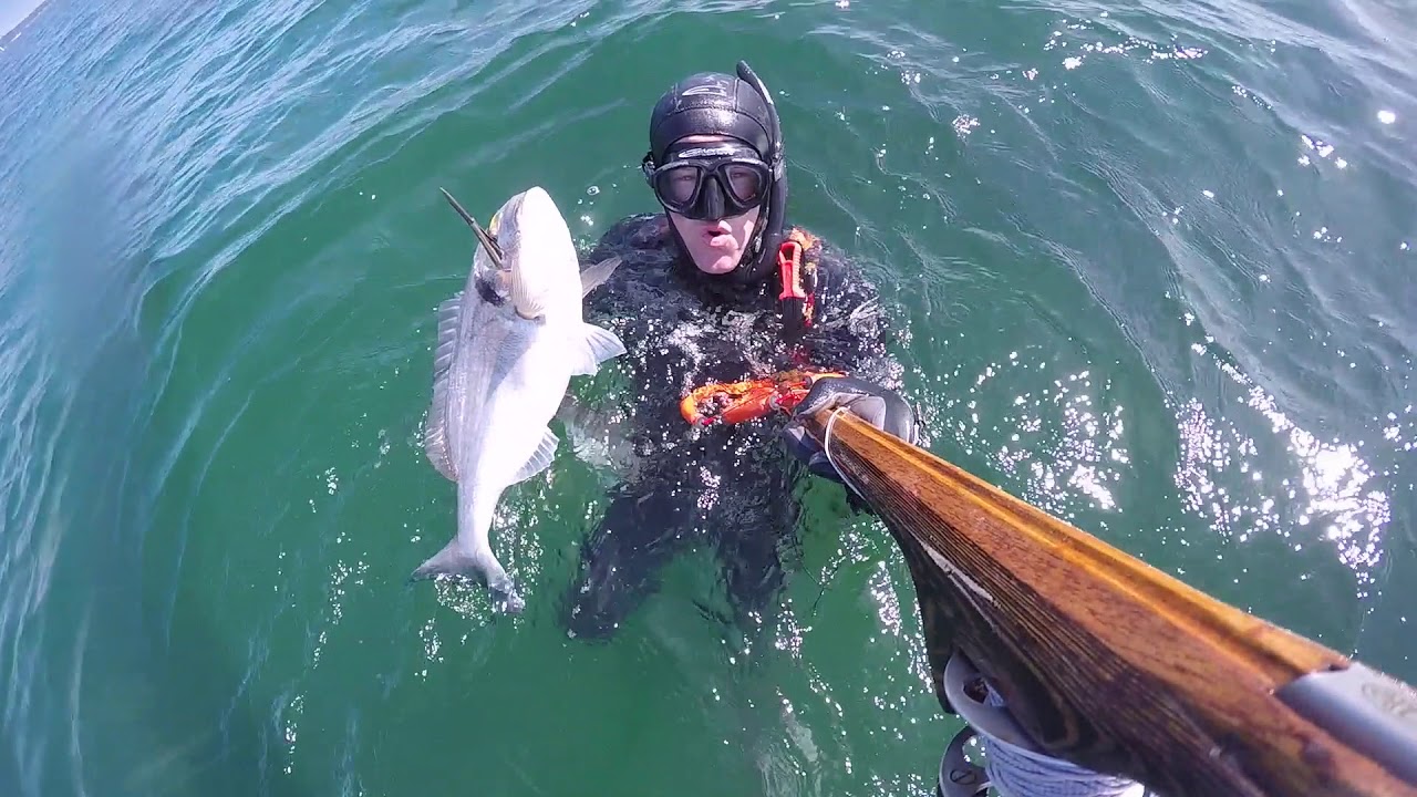Chasse sous marine 2017. Wood speargun homemade, Spearfishing  pesca submarina