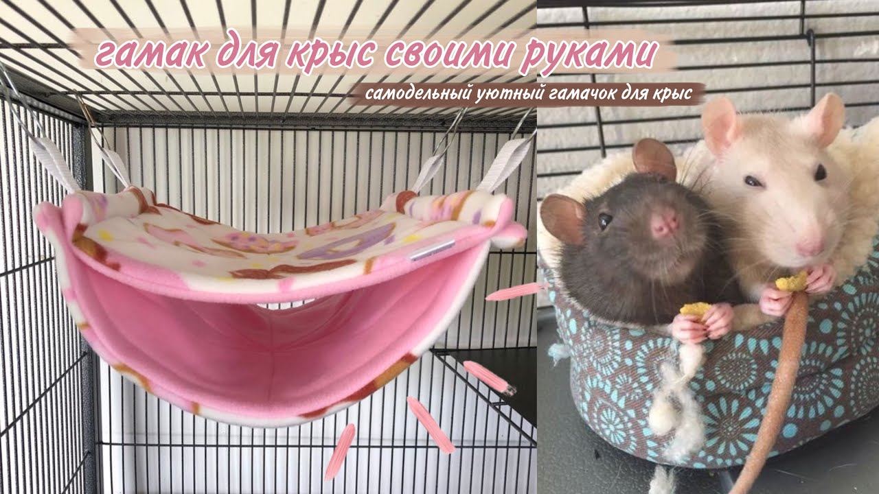 🐭 УЮТНЫЙ ГАМАК ДЛЯ КРЫС СВОИМИ РУКАМИ // *как быстро сделать самим гамак