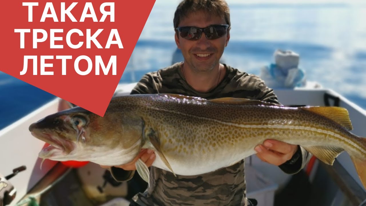 Морская рыбалка в Баренцовом море | Ура-Губа | Как поймать треску летом