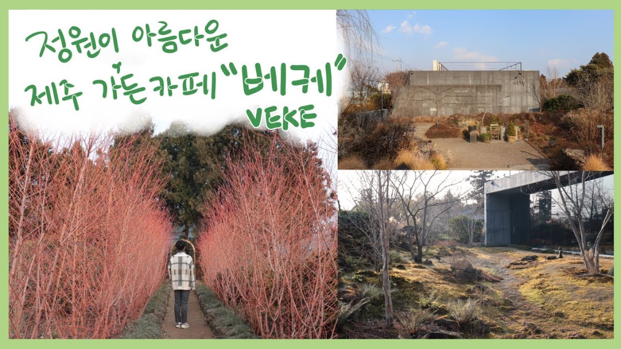 [식사남TV] 정원이 아름다운 제주도 서귀포 정원카페, 베케 가든카페에 다녀왔어요 #제주도 #제주도여행 #서귀포