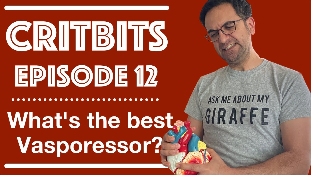 WHAT'S THE BEST VASOPRESSOR?