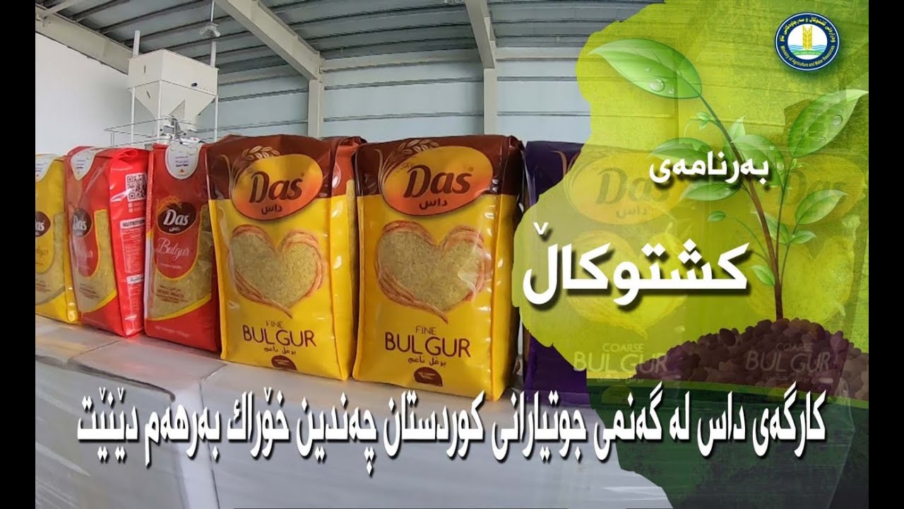 کارگەی  داس لە گەنمی جوتیارانی کوردستان چەندین خۆراک بەرهەم دێنێت