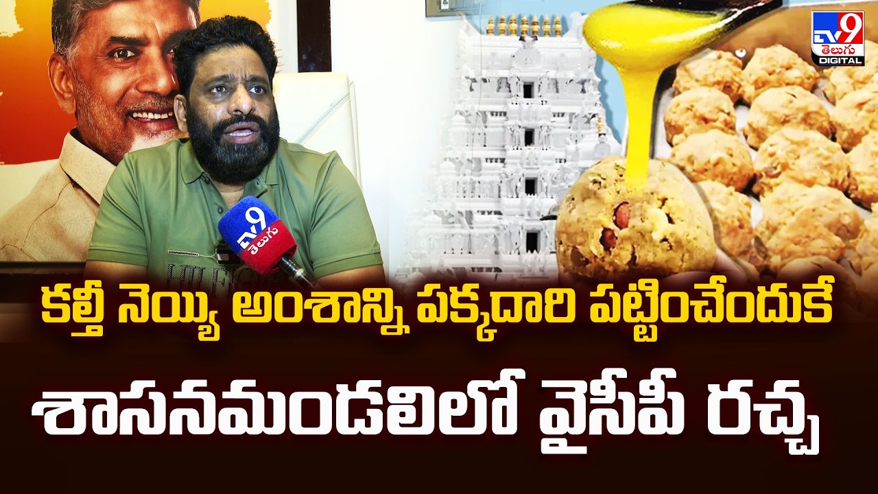 వైసీపీ రచ్చ | TDP Leader Buddha Venkanna Slams YSRCP Over Laddu Adulteration Issue in Council -TV9