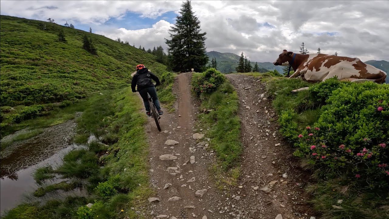 Saalbach Hacklberg Trail July 2024
