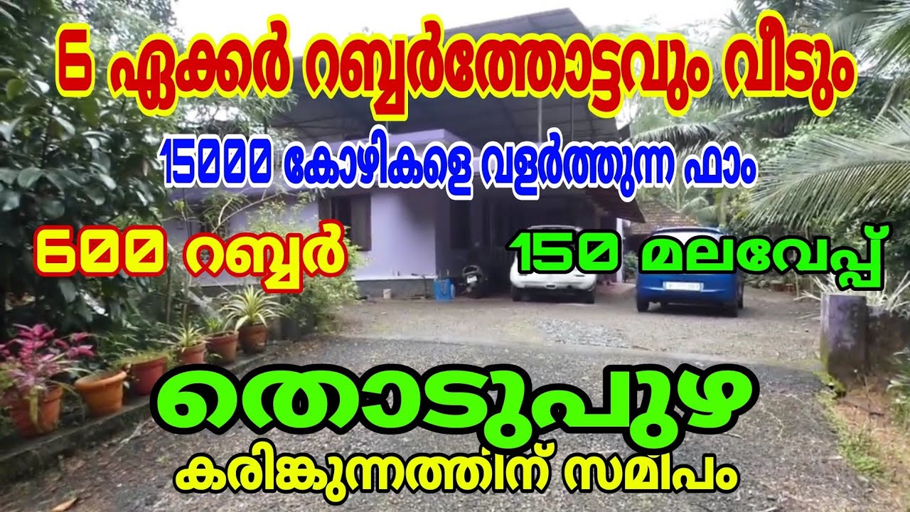 6 Acres of Land (Rubber) with old house,Poultry farm for sale at Karinkunnam, Thodupuzha.