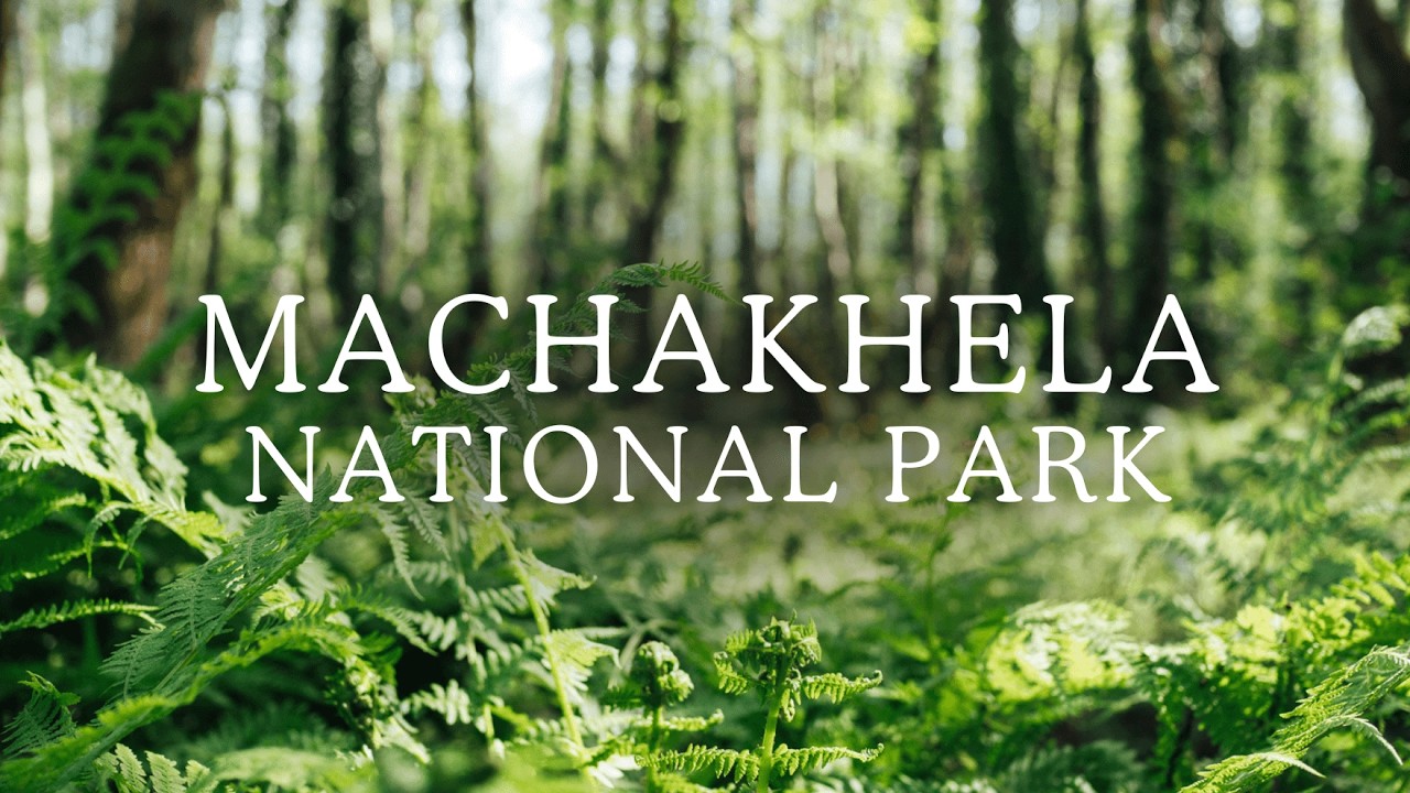 MACHAKHELA NATIONAL PARK | Scooter Tour from Batumi