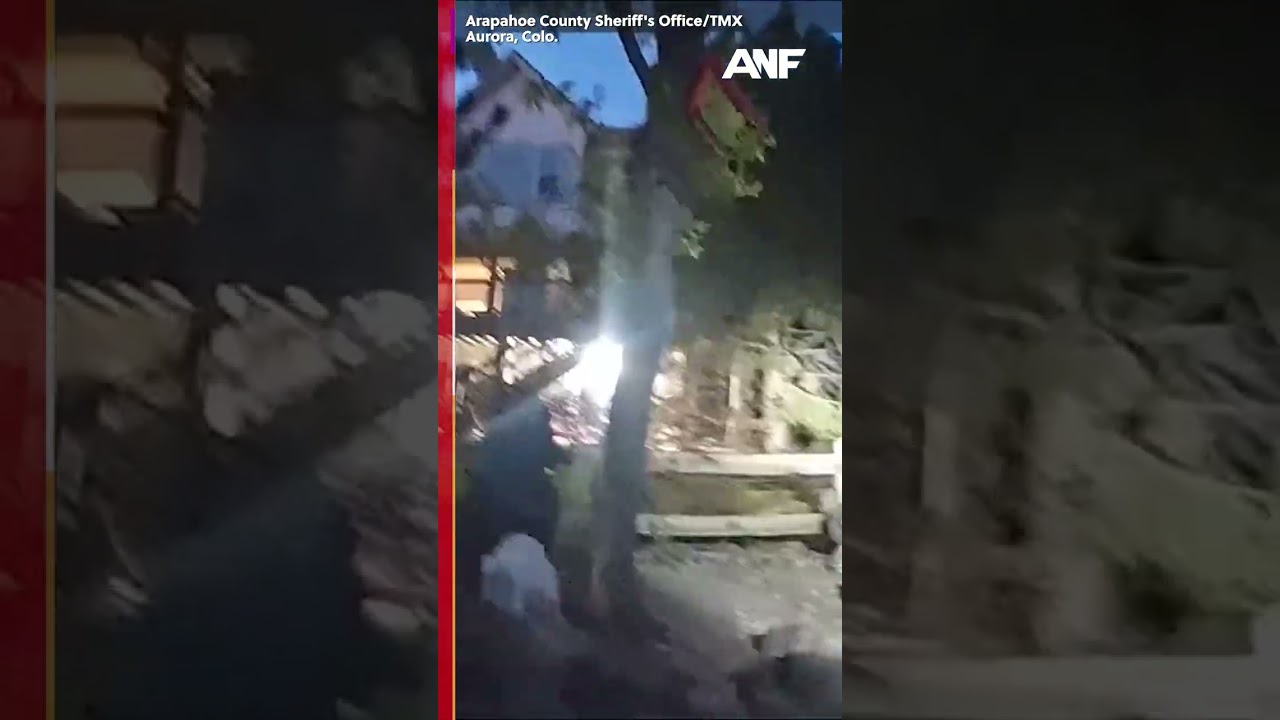 Bodycam shows K9 find missing 7-year-old girl after tracking her scent