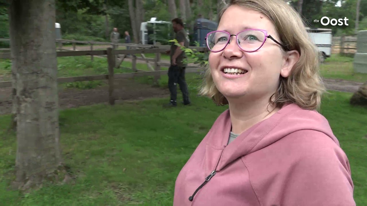 Zomer in Overijssel | De leukste campings in Ommen