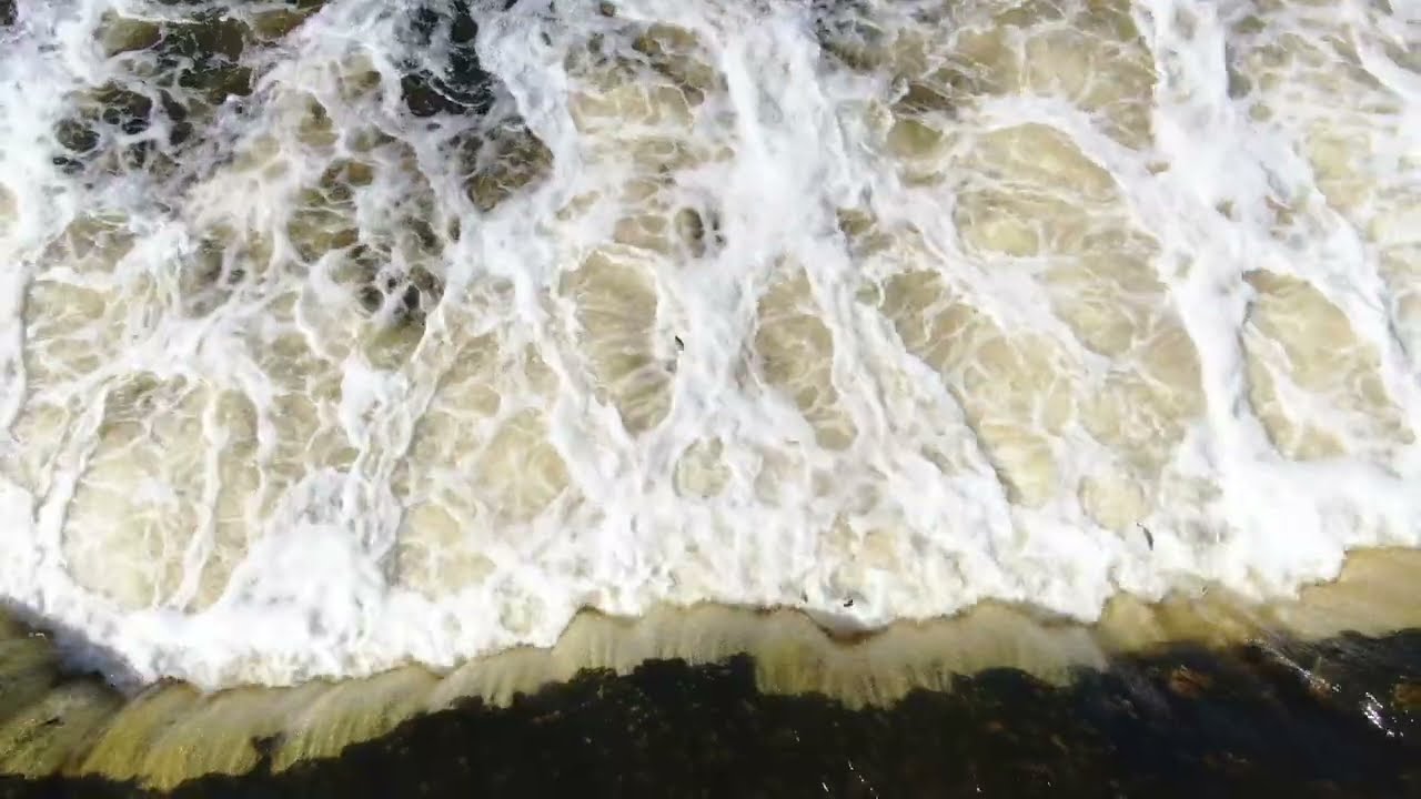 Lido zivis Ventas rumbā | Fish jumping over a waterfall